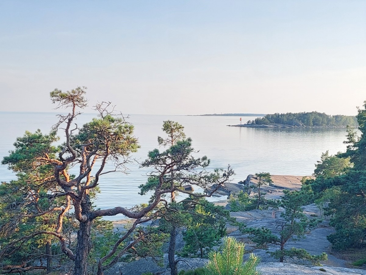 Can strict regulations and international competition boost shipping&nbsp;industry?